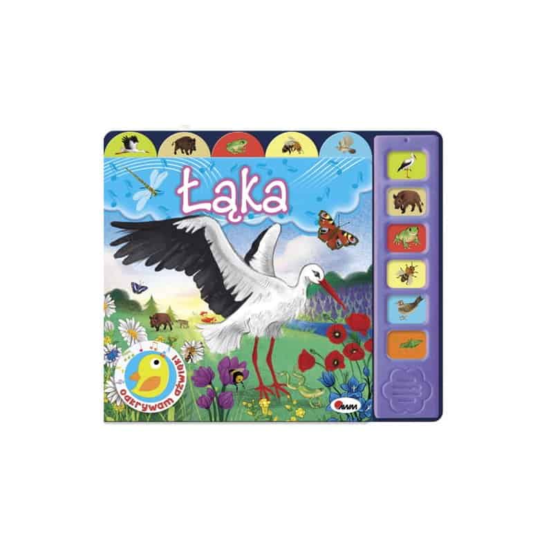 Odkrywam dźwięki łąka Książki/Interaktywne