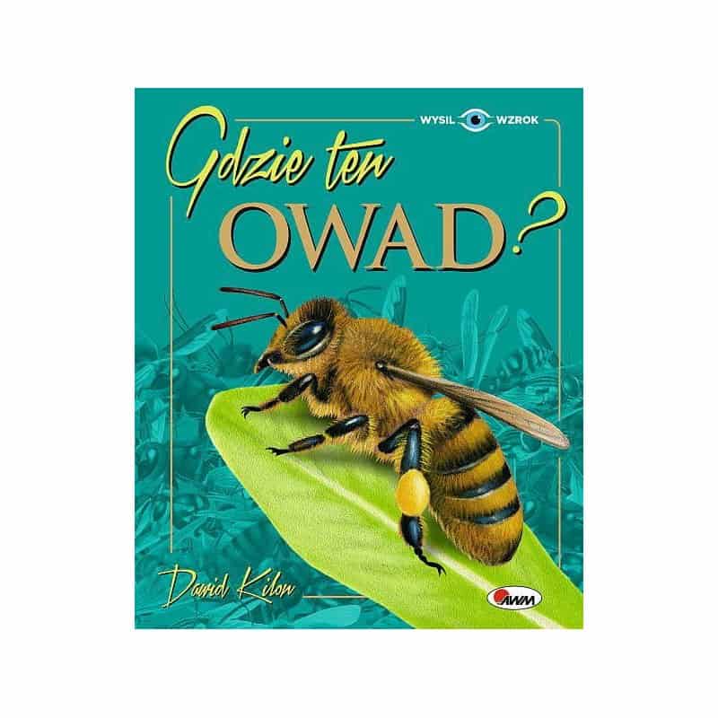 Gdzie ten owad Książki/Obrazkowe