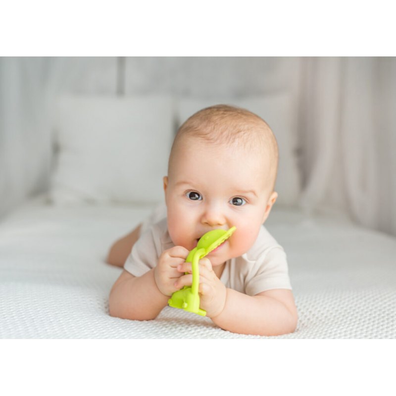 Gryzak słoń limonka DUMEL - obrazek 3