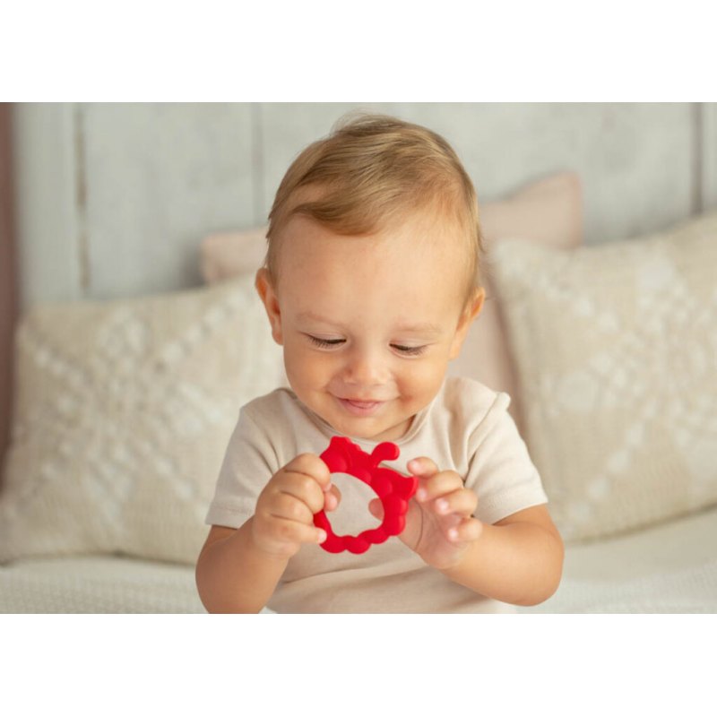 Gryzak truskawka czerwona DUMEL