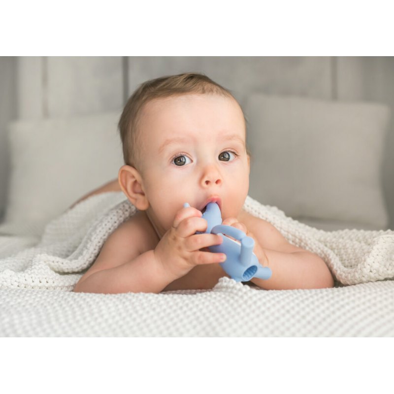 Gryzak zwariowany słonik niebieski DUMEL - obrazek 3