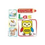 Koloruję kredkami las Książki/Kolorowanki wyklejanki