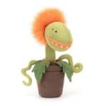 Kwiatek Głodomorek Pomarańczowy 20 cm Producent