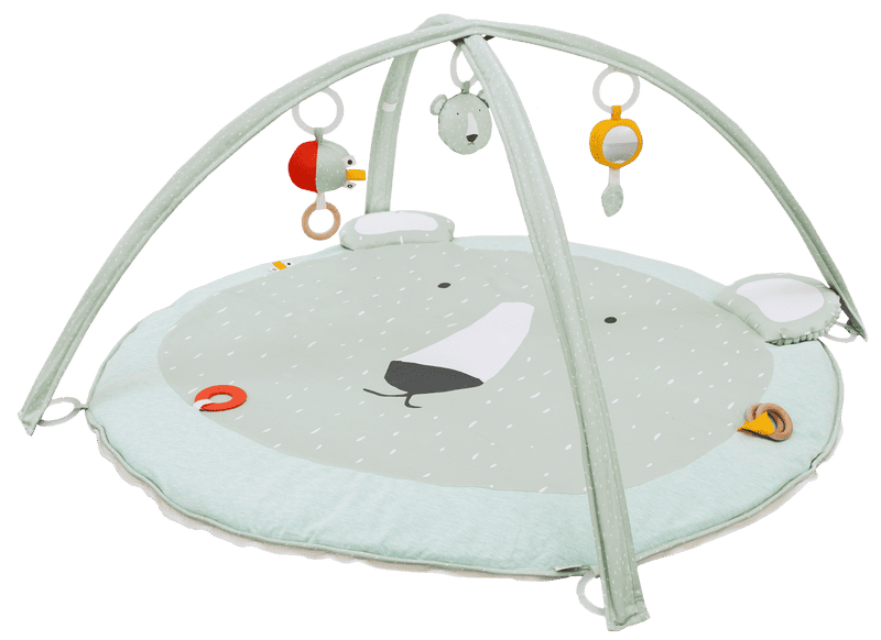 Miś Polarny Mata Edukacyjna Producent