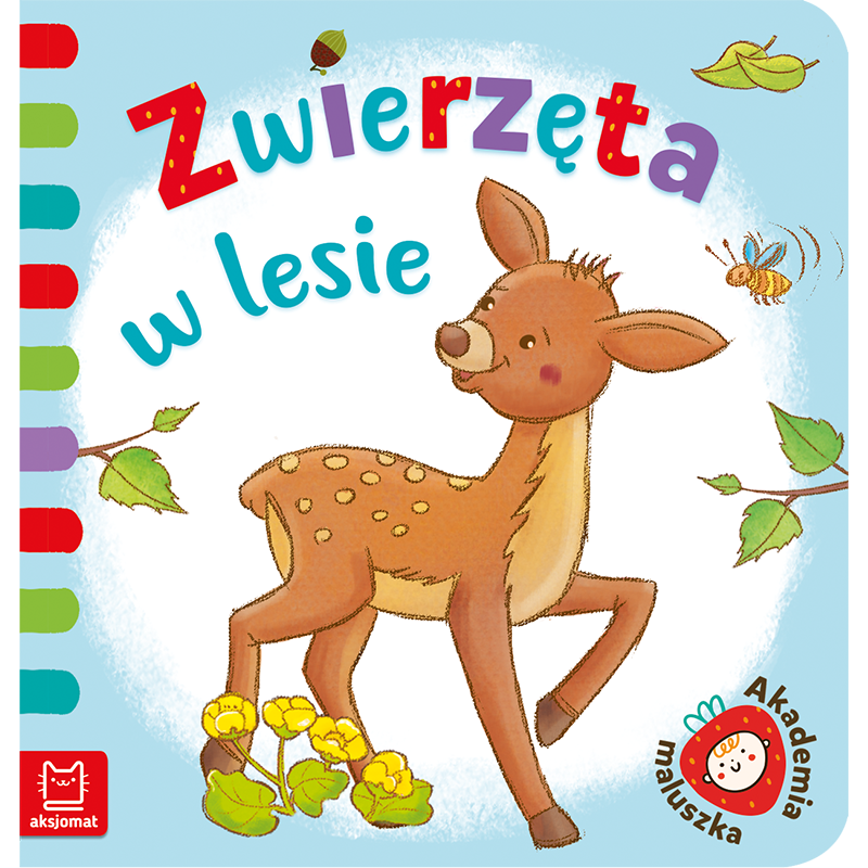 Zwierzęta w lesie Książki/Obrazkowe